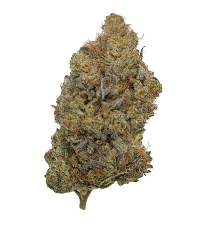 Buy Cannabis and Magic Mushrooms in Canada