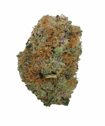 Buy Cannabis and Magic Mushrooms in Canada