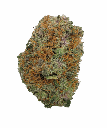 Buy Cannabis and Magic Mushrooms in Canada