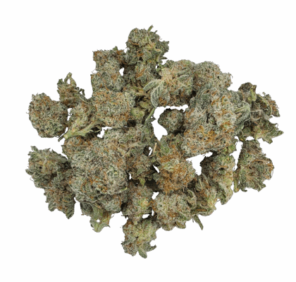 Buy Cannabis and Magic Mushrooms in Canada