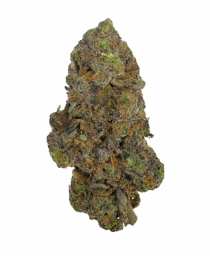 Buy Cannabis and Magic Mushrooms in Canada