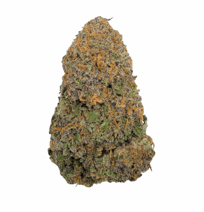 Buy Cannabis and Magic Mushrooms in Canada