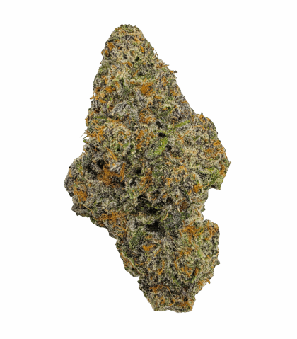 Buy Cannabis and Magic Mushrooms in Canada
