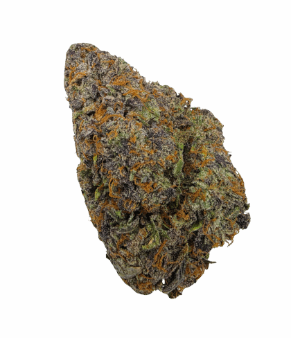 Buy Cannabis and Magic Mushrooms in Canada