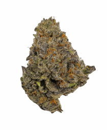 Buy Cannabis and Magic Mushrooms in Canada