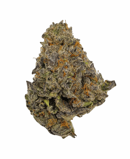 Buy Cannabis and Magic Mushrooms in Canada