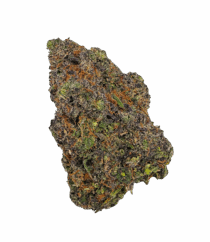 Buy Cannabis and Magic Mushrooms in Canada
