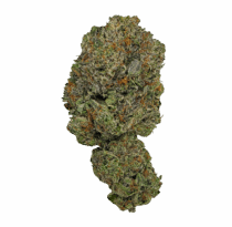 Buy Cannabis and Magic Mushrooms in Canada