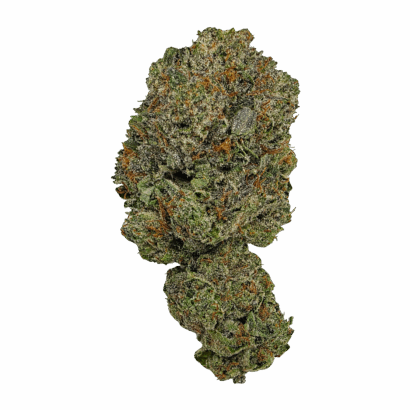 Buy Cannabis and Magic Mushrooms in Canada