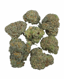 Buy Cannabis and Magic Mushrooms in Canada