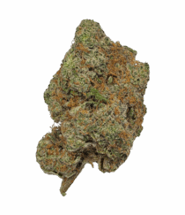 Buy Cannabis and Magic Mushrooms in Canada