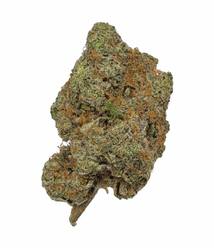 Buy Cannabis and Magic Mushrooms in Canada