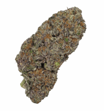 Buy Cannabis and Magic Mushrooms in Canada