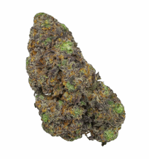 Buy Cannabis and Magic Mushrooms in Canada
