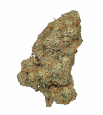 Buy Cannabis and Magic Mushrooms in Canada