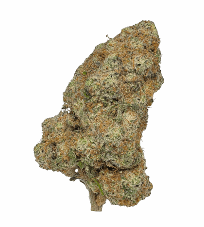 Buy Cannabis and Magic Mushrooms in Canada