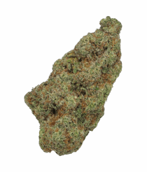 Buy Cannabis and Magic Mushrooms in Canada