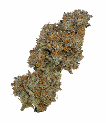 Buy Cannabis and Magic Mushrooms in Canada