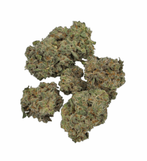 Buy Cannabis and Magic Mushrooms in Canada