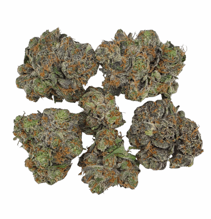 Buy Cannabis and Magic Mushrooms in Canada