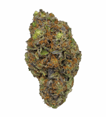 Buy Cannabis and Magic Mushrooms in Canada