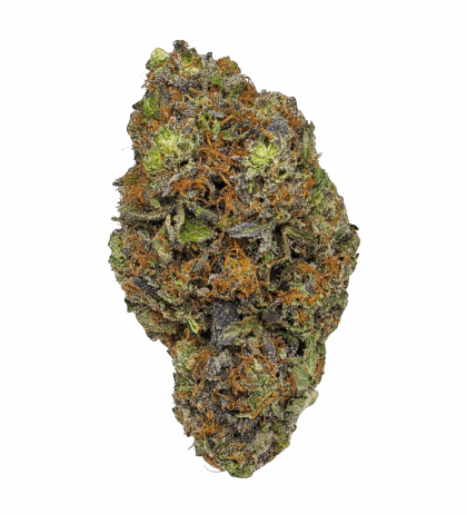 Buy Cannabis and Magic Mushrooms in Canada