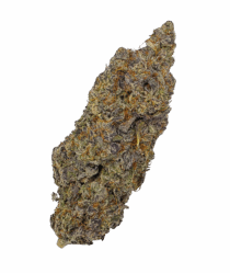 Buy Cannabis and Magic Mushrooms in Canada