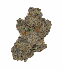 Buy Cannabis and Magic Mushrooms in Canada