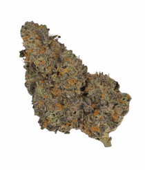 Buy Cannabis and Magic Mushrooms in Canada