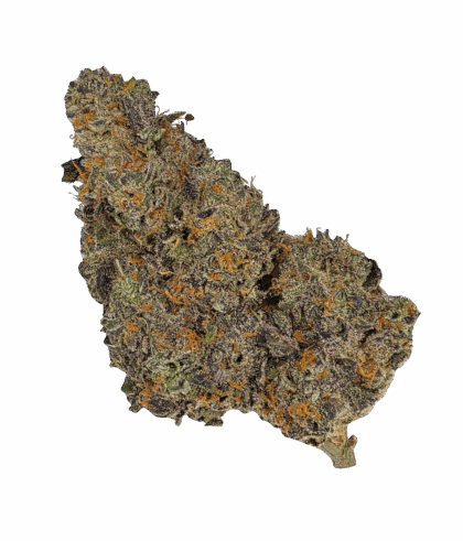 Buy Cannabis and Magic Mushrooms in Canada