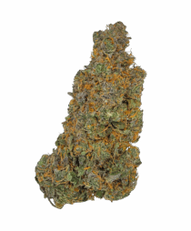Buy Cannabis and Magic Mushrooms in Canada