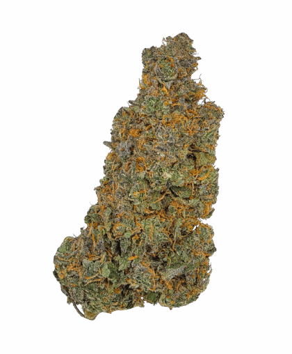 Buy Cannabis and Magic Mushrooms in Canada