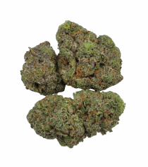 Buy Cannabis and Magic Mushrooms in Canada