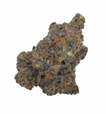 Buy Cannabis and Magic Mushrooms in Canada