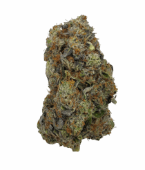 Buy Cannabis and Magic Mushrooms in Canada