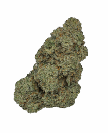 Buy Cannabis and Magic Mushrooms in Canada