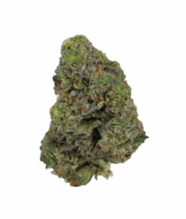 Buy Cannabis and Magic Mushrooms in Canada