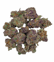 Buy Cannabis and Magic Mushrooms in Canada