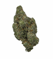 Buy Cannabis and Magic Mushrooms in Canada