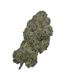 Buy Cannabis and Magic Mushrooms in Canada