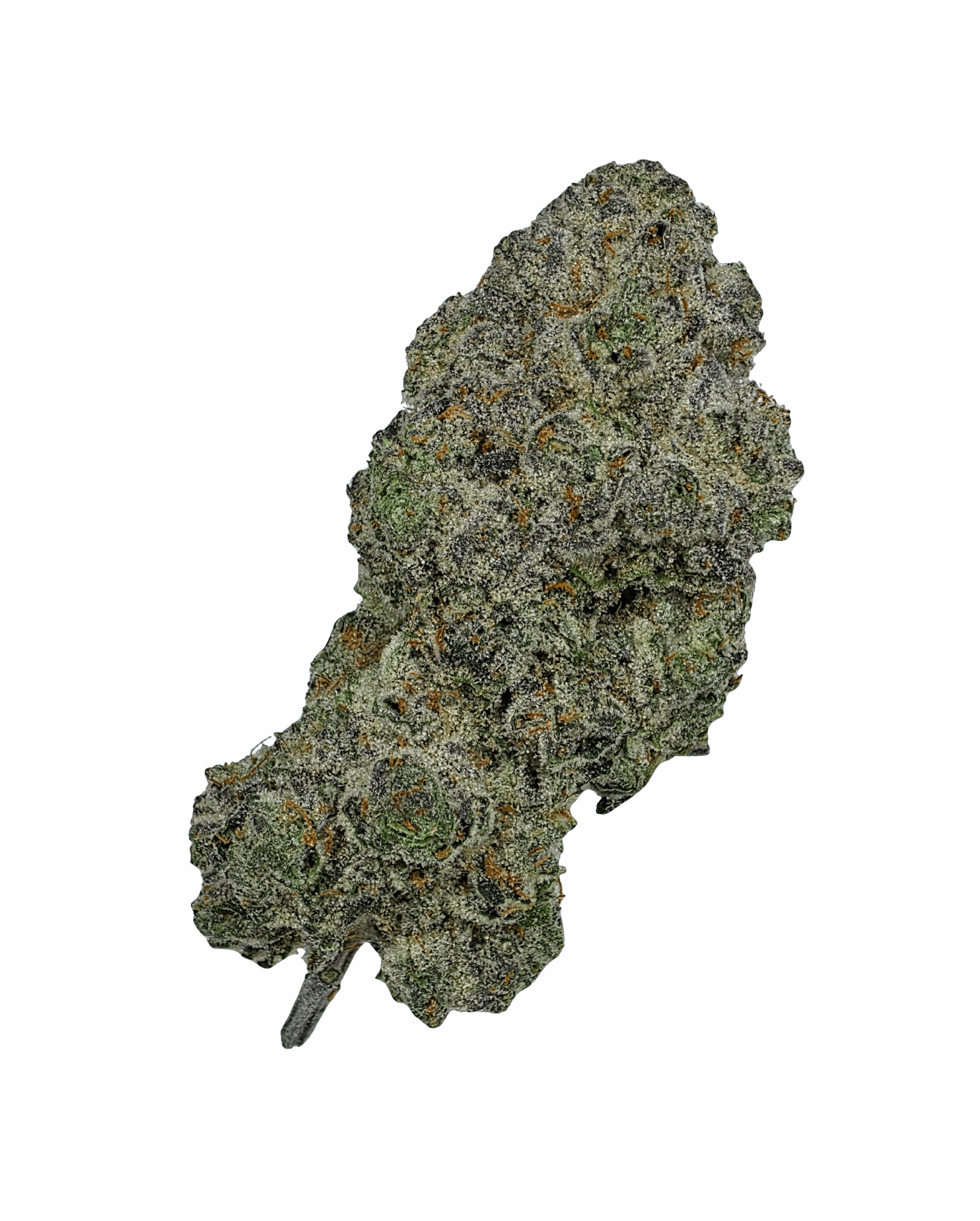 Purple Frost Buy Cannabis and Magic Mushrooms in Canada