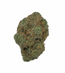 Buy Cannabis and Magic Mushrooms in Canada