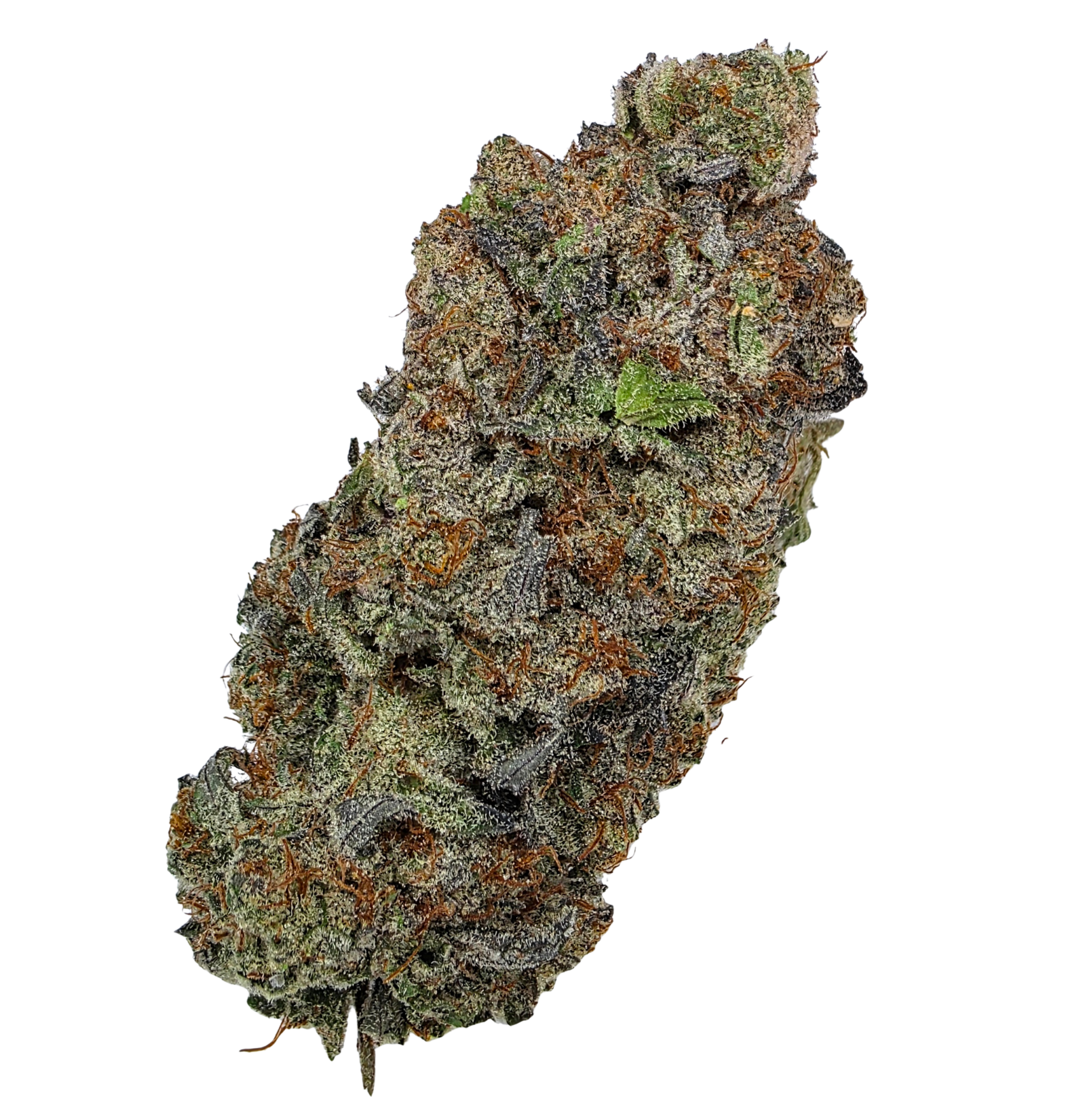 Black Gas Buy Cannabis and Magic Mushrooms in Canada