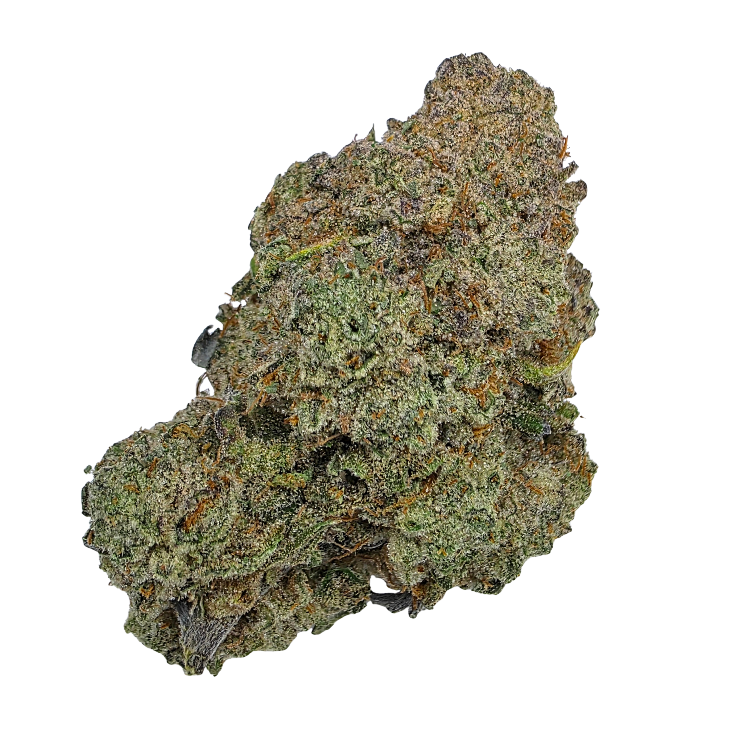 Blackberry Kush Buy Cannabis and Magic Mushrooms in Canada