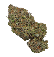 Buy Cannabis and Magic Mushrooms in Canada