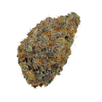 Buy Cannabis and Magic Mushrooms in Canada