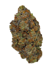 Buy Cannabis and Magic Mushrooms in Canada