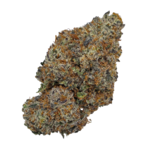 Buy Cannabis and Magic Mushrooms in Canada