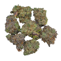 Buy Cannabis and Magic Mushrooms in Canada