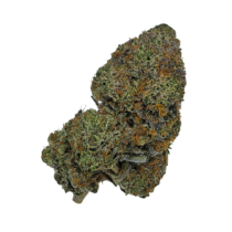 Buy Cannabis and Magic Mushrooms in Canada